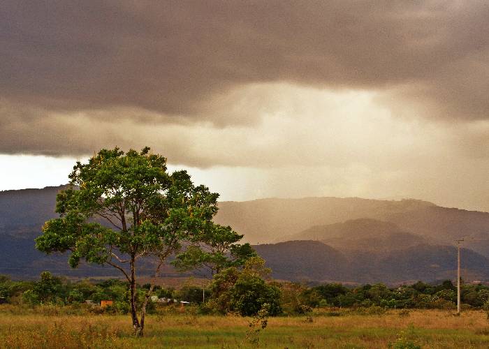Cómo en Casanare el Nuevo Liberalismo dijo 'no' a nuestras aspiraciones a la Cámara