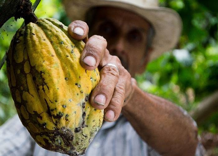 Colombia: no es normal lo que nos venden como normal