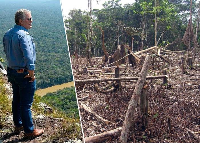 Colombia se rajó en lo ambiental este año: deforestación, líderes asesinados y áreas amenazadas