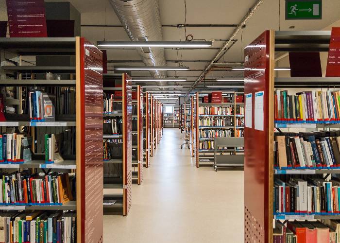 Universidad pública: los bandidos son otros