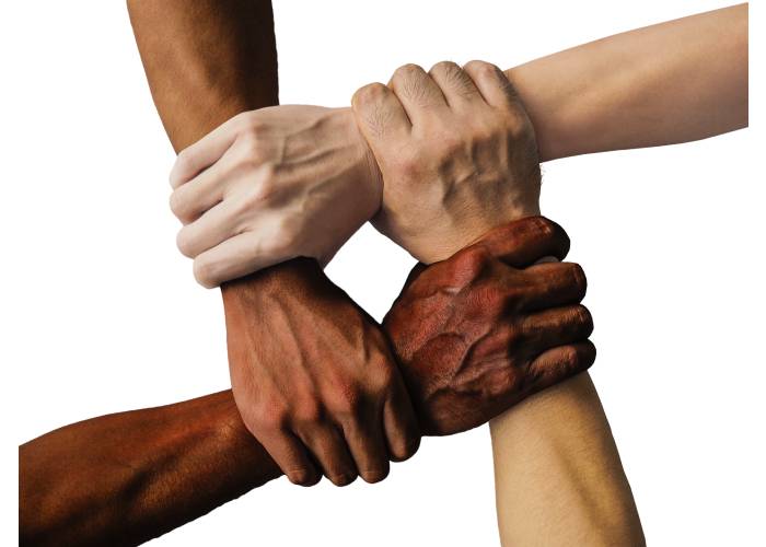 Nuevos tiempos para nuevas luchas: medio ambiente, mujeres y diversidad sexual