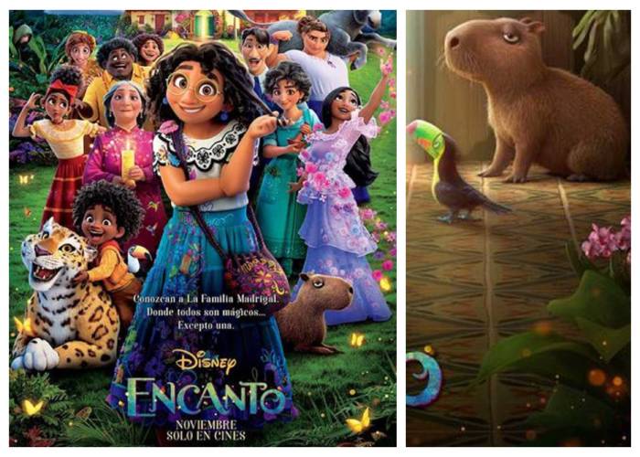 La lección que 'Encanto' le dio a los colombianos de a pie