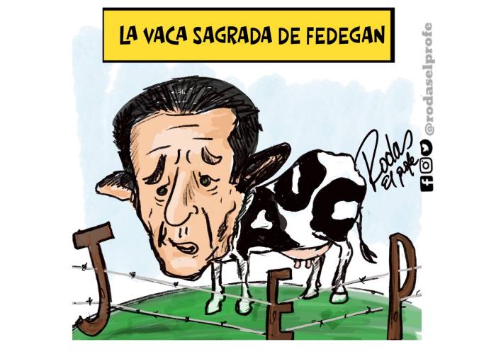 Caricatura: La vaca sagrada de Fedegán