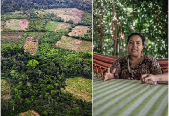 El desafío de Colombia en 2022 para revertir la crisis del medio ambiente