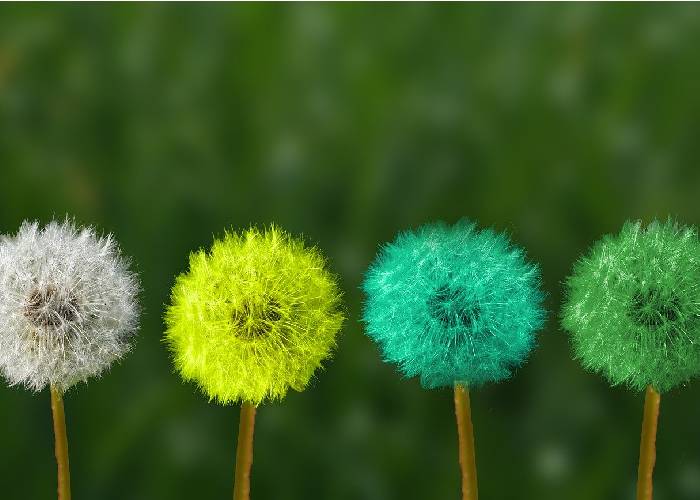 Tiempo nuevo para dejar atrás el miedo al cambio