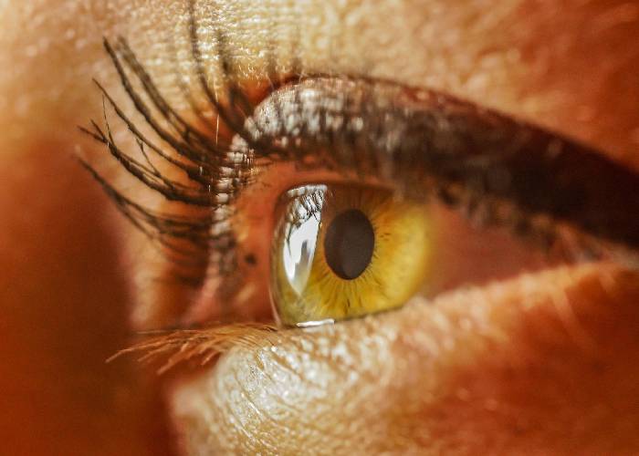 Cuidar los ojos: ver bien para aprender y comprender mejor