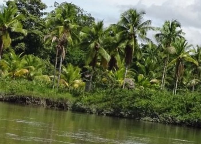La isla colombiana de la que habló Leonardo DiCaprio