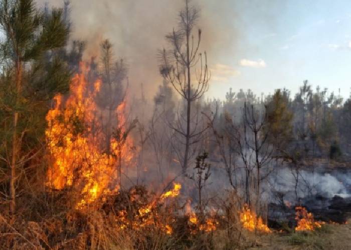 Mientras se incendia la Amazonia colombiana, Duque la militariza