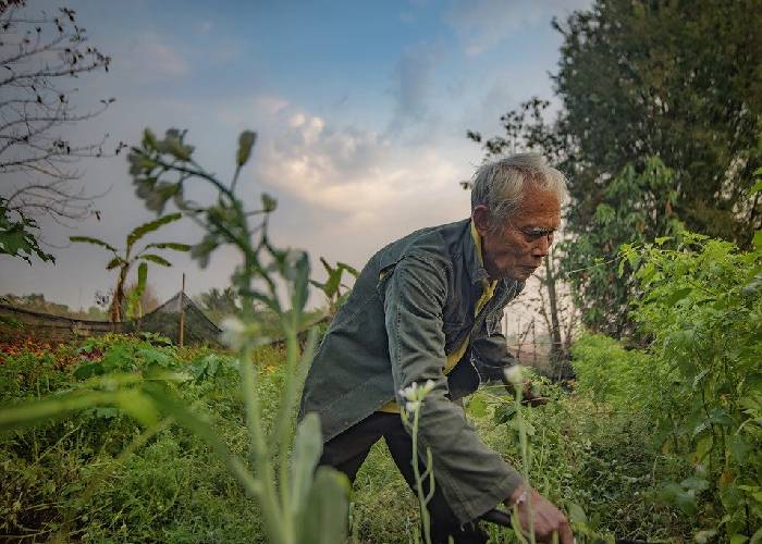 En campaña, el trompo de poner siempre es el campesino