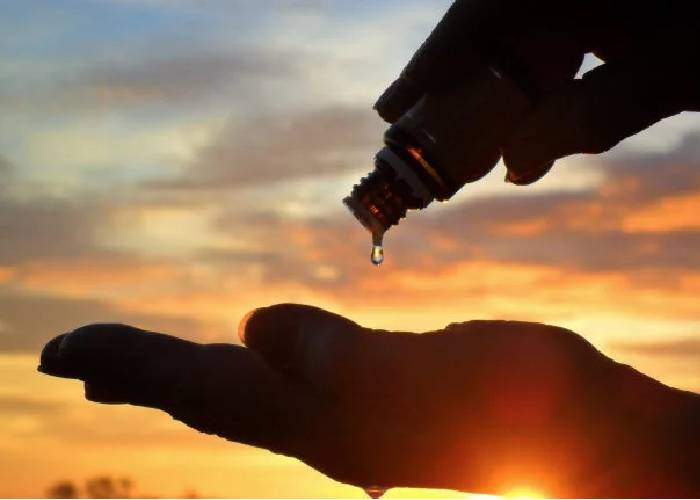 Los ungidos por el aceite de la política y el verdadero mesías