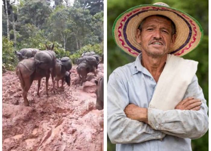 Lo difícil de ser un campesino, sobre todo en Colombia