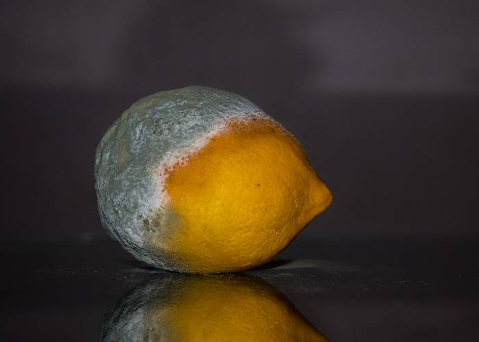 Dos décadas de fracasada seguridad democrática: una putrefacción perfumada