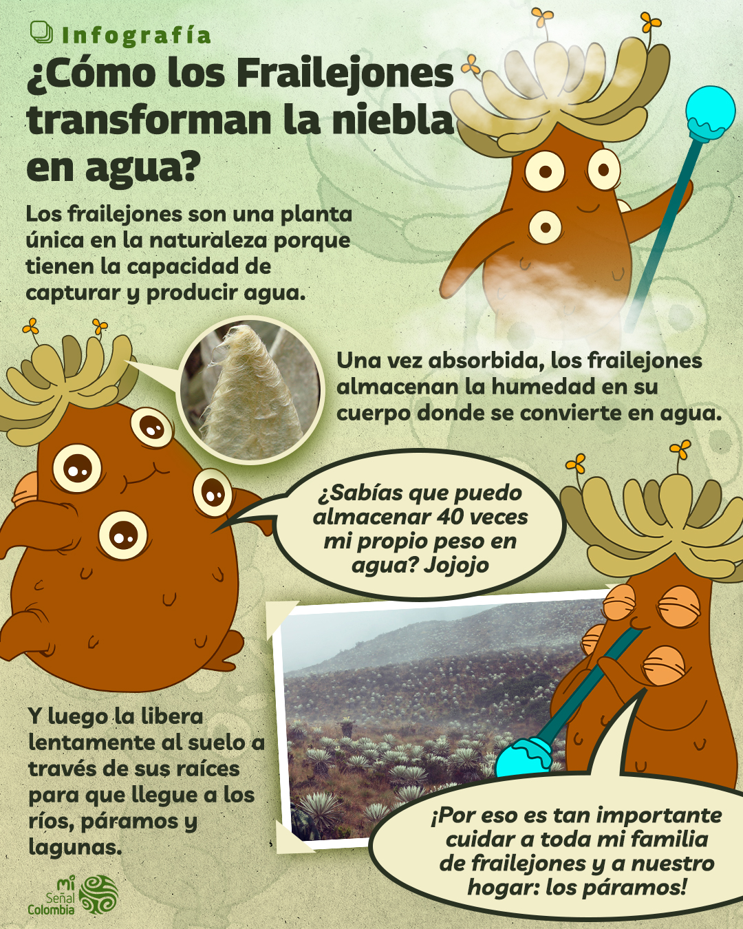  - En Tota, Boyacá, cientos de ‘familiares’ de frailejón Ernesto Pérez se quemaron