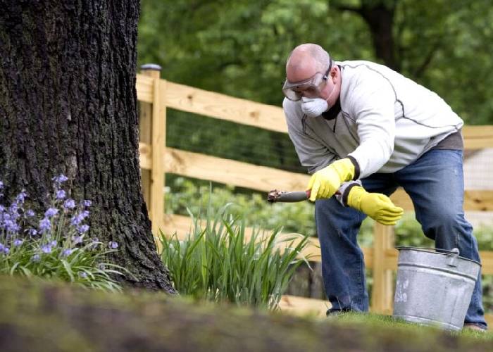 Por las nubes y escasos: por qué los insumos agrícolas están inalcanzables
