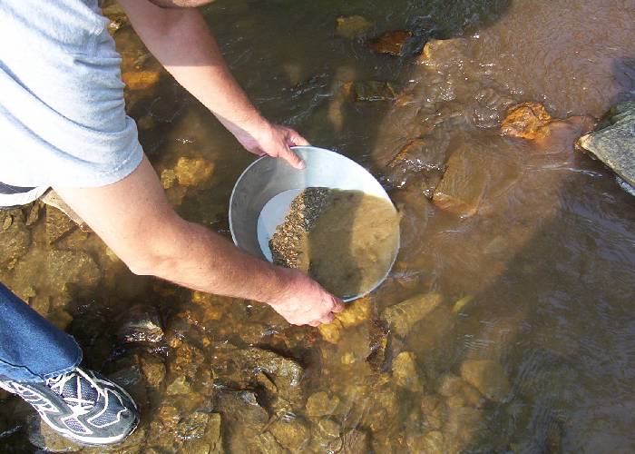 Pescado envenenado: lo que deja tras de sí la minería de oro en el país