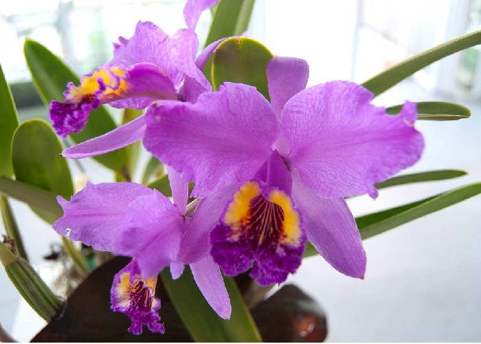 El joven de Manizales que pretende hacer una película sobre la naturaleza en 3D