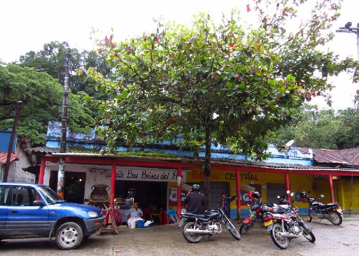 La bulla en Minca saca corriendo a turistas extranjeros