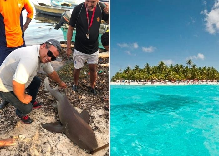 El terrorífico ataque de un tiburón a un turista extranjero en San Andrés