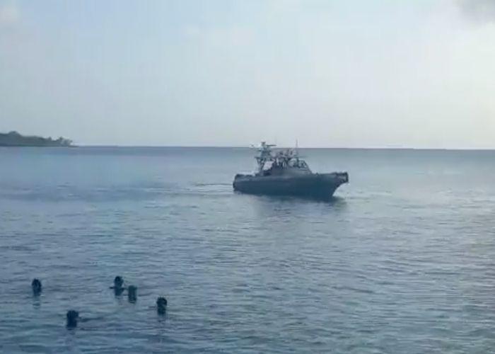 Como si el tiburón tuviera la culpa, ahora los isleños quieren cazarlo para 