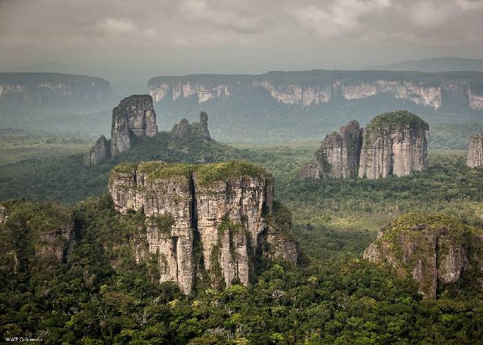 ¿Para qué o quién cuidar los parques como el Chiribiquete en la Amazonia colombiana?