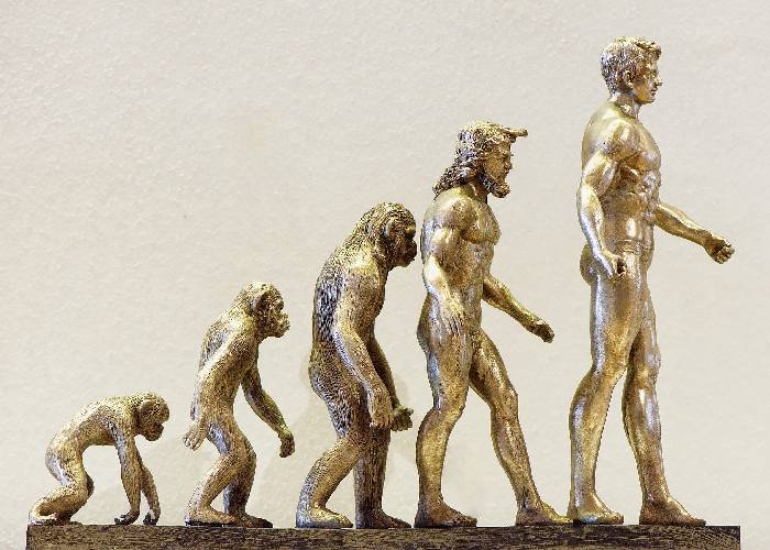 Enseñar a los niños creacionismo y religión, y que de adultos decidan en qué creer