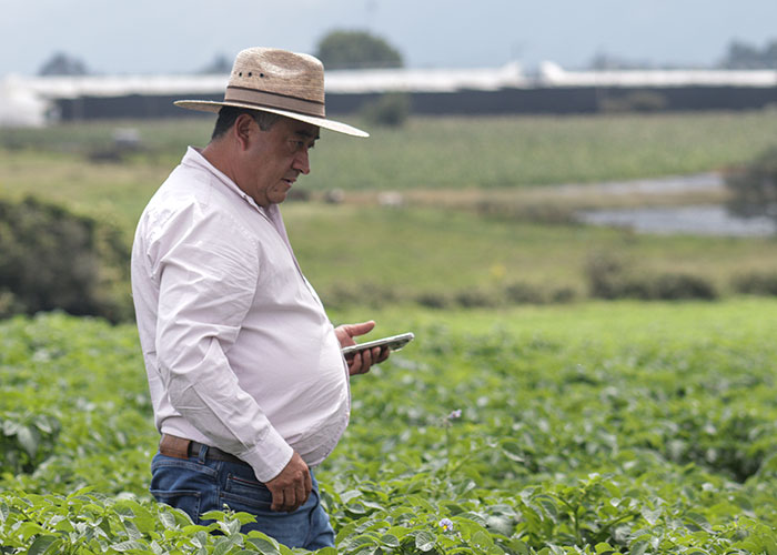  - El gigante papero de Cundinamarca, un gran ganador con el precio por las nubes