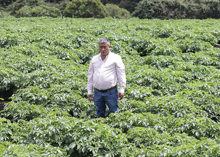 Jairo Calderón papero