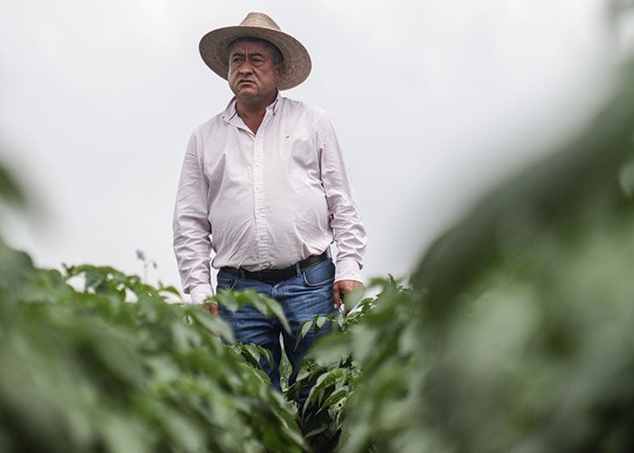 - El gigante papero de Cundinamarca, un gran ganador con el precio por las nubes