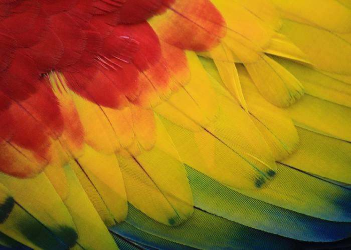 La historia de mi país: el cuento se tergiversó