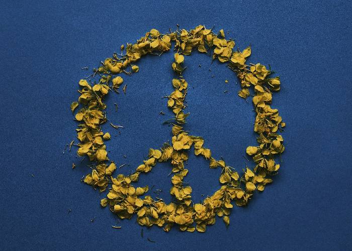 Soldados de Ucrania: 