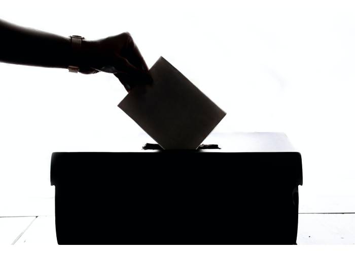 Elecciones atípicas. Se mueve la cosa política