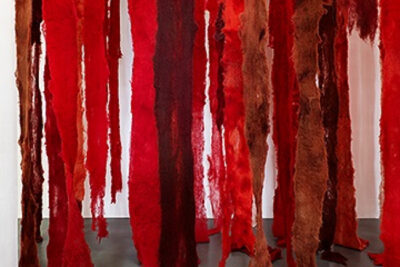 La verdad de Vicuña - -- Las2orillas - La verdad de Vicuña