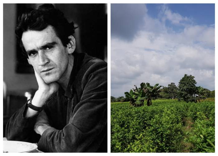 Las palabras premonitorias de Gonzalo Arango para este tiempo de (más) falsos positivos