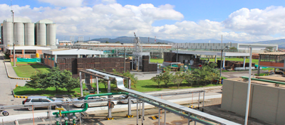  - William Vélez y su emporio de basuras, energía y carreteras