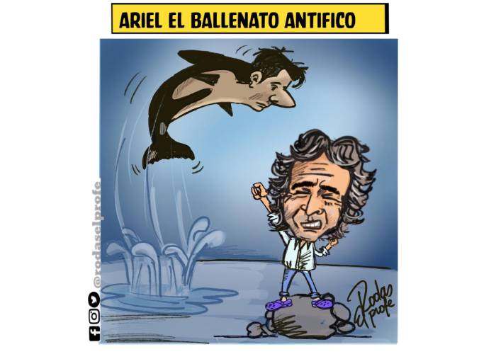 Caricatura: Ariel, el ballenato Antifico