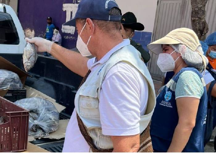 Más de 68 kilos de pescado fueron decomisados en Santa Marta