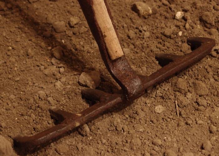 Arando en el desierto: ¿Podrá Petro sacar buen fruto de tierra infértil?