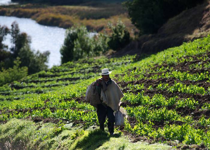 Lo bueno, lo malo y lo feo del más reciente borrador del CONPES