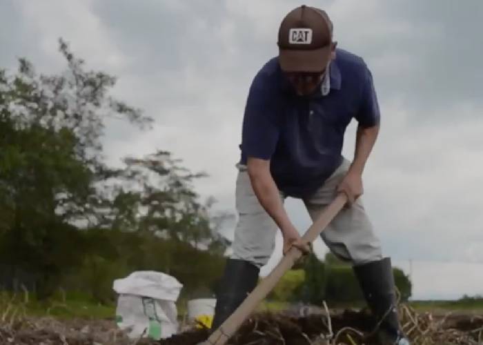 Economía solidaría se consolida como modelo de negocio de comunidades vulnerables