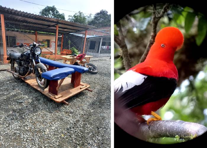 La brujita: el precario medio de transporte que mata 'la gallina de los huevos de oro' en Buenaventura