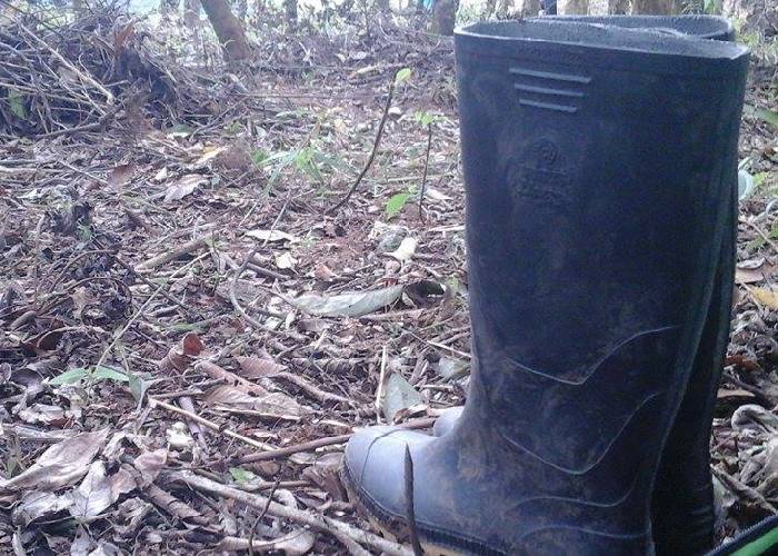 Que hablen los muertos y que confiesen los vivos. Falsos positivos: la impunidad vestida de muerte