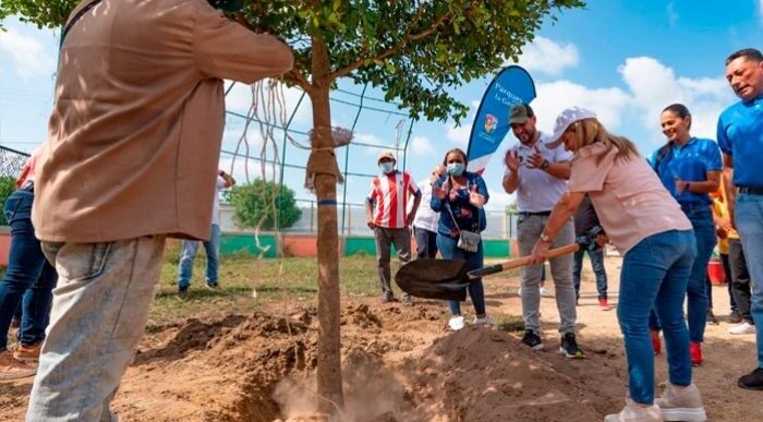  - El Atlántico se reverdece: 1.300 árboles plantados en los parques del departamento