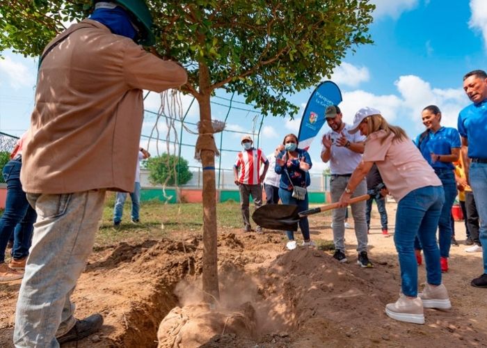 El Atlántico se reverdece: 1.300 árboles plantados en los parques del departamento