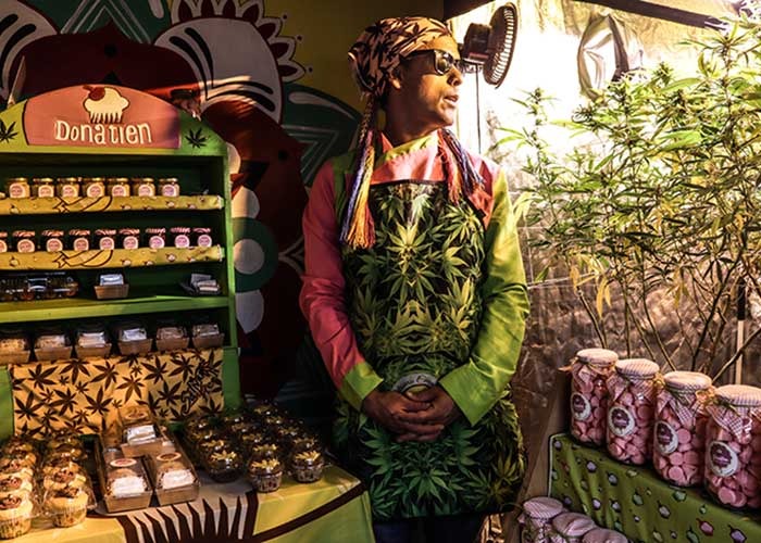  - Donatien y sus postres con sabor a marihuana