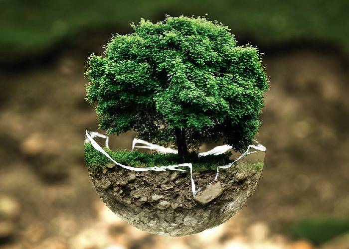 Medio ambiente: cuidado y alianzas apremiantes