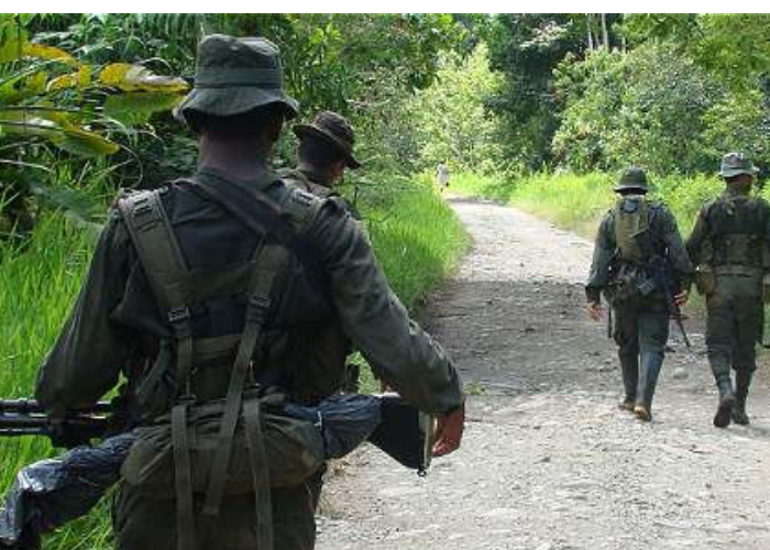 ¿Cuál es la naturaleza de la violencia de hoy?