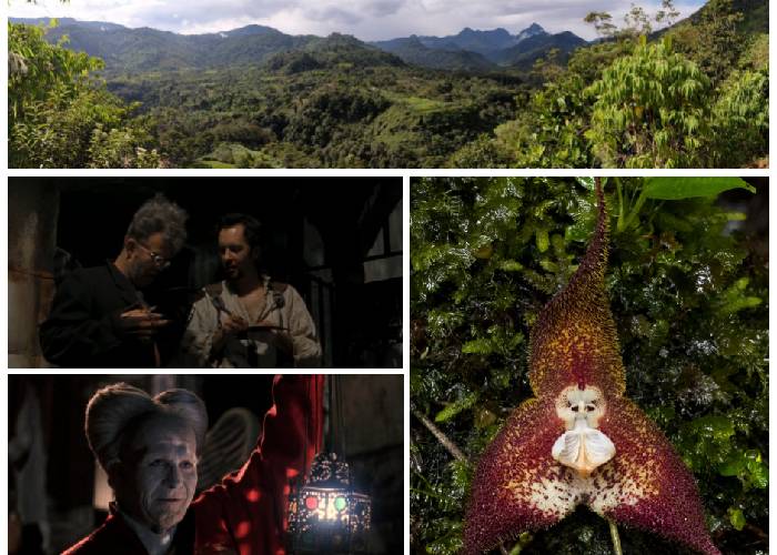 Ecuador, Drácula y el habeas corpus