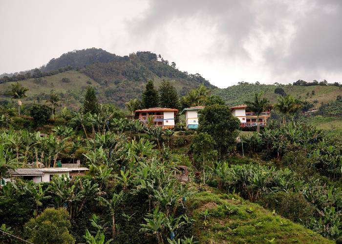 Cooperativas del Oriente de Antioquia: un ejemplo electoral sin populismo