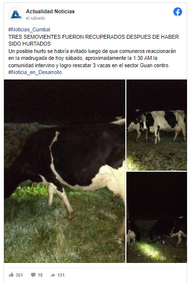  - Preocupación en el sur de Nariño porque se están robando las reses