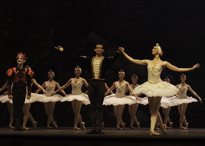 La belleza del Lago de los cisnes en Bogotá